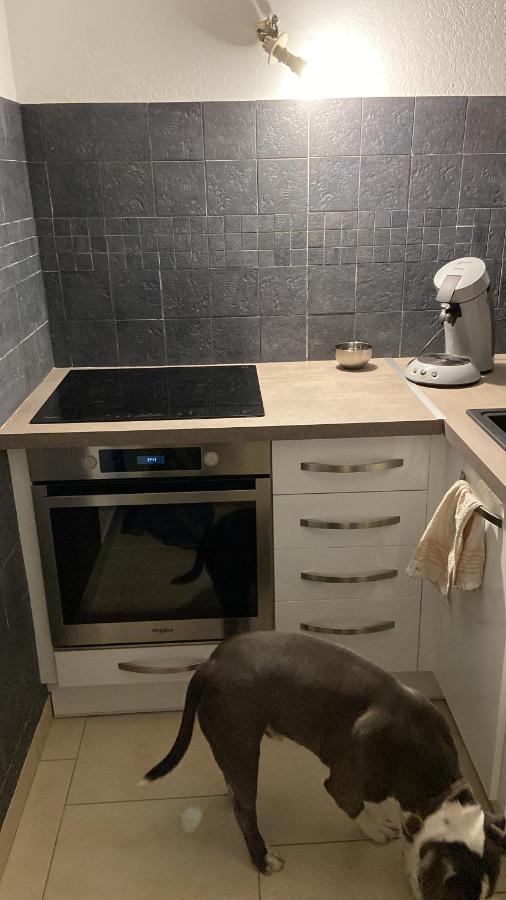 Appartement Cap D Agde Magnifique Vue Mer Kültér fotó